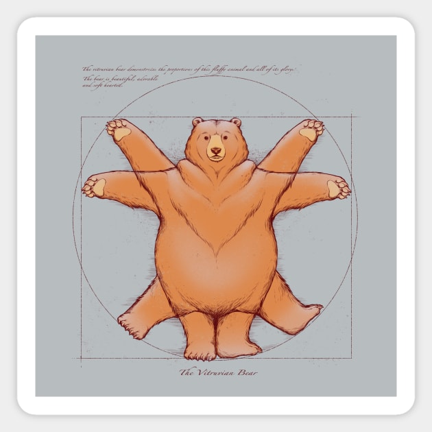 Vitruvian Bear Sticker by Tobe_Fonseca